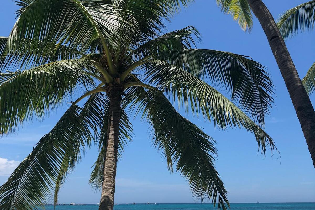 Couple relaxing on a tropical beach, illustrating retirement lifestyle in Costa Rica